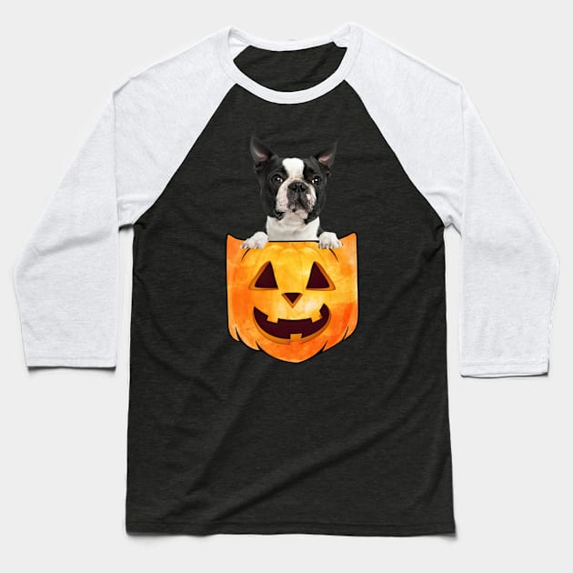 Black Boston Terrier Dog In Pumpkin Pocket Halloween Baseball T-Shirt by nakaahikithuy